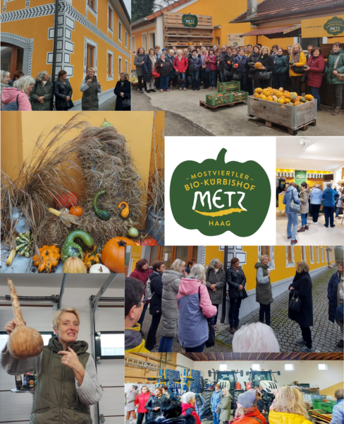 Gebiet ZI-20251113 Herbstexkursion Mostviertel-Metz Zeitung.png