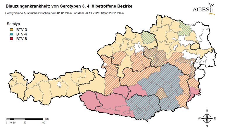 csm_BT_Bezirke_serotypen_Gesamtkarte_d6f561dd64.png © AGES