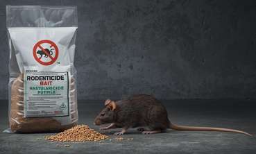 Rodentizid.jpg © BBK St. Pölten (KI generiert)