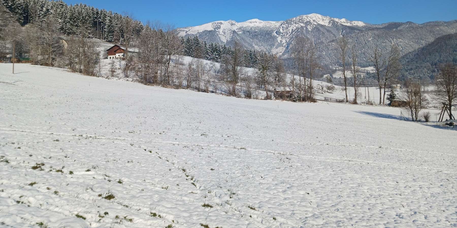 Winterlandschaft.jpg © LK OÖ/Mandl