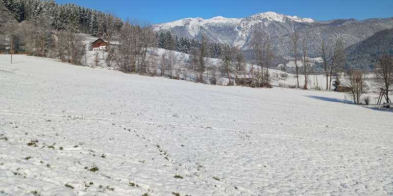 Winterlandschaft.jpg © LK OÖ/Mandl