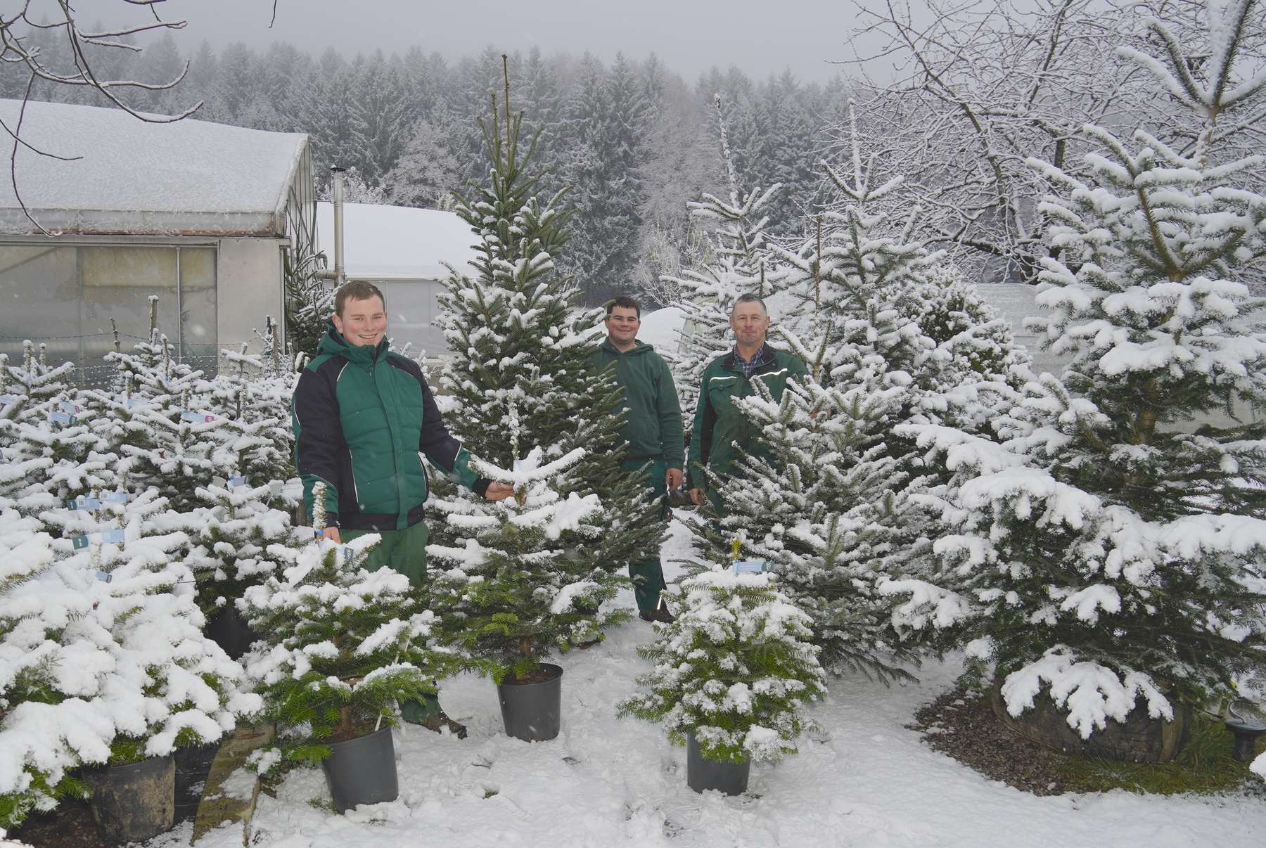 sb48_mt_bäume.jpg © Dürnberger