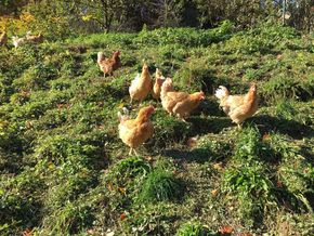 [1763992585347513_5.jpg]