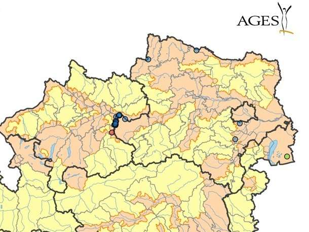 Aviäre Influenza_ Risikogebiete.jpg © AGES