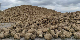  © LK OÖ/Feitzlmayr