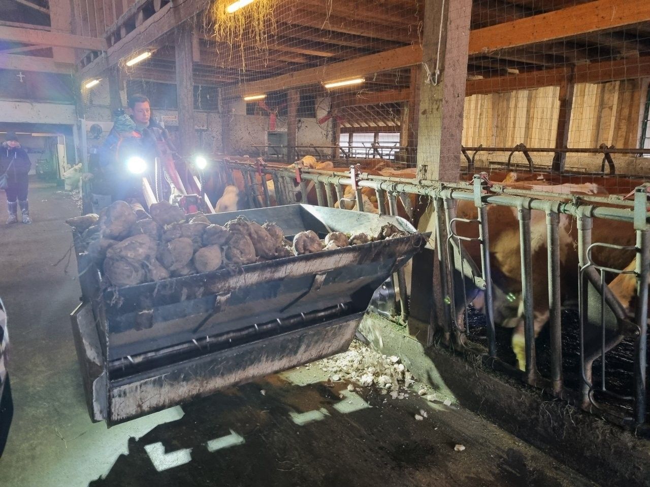 AK Milch-Lehrfahrt.jpg © Johanna Mandl/LK Niederösterreich