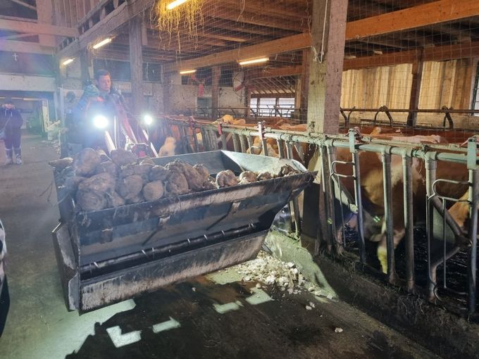 AK Milch-Lehrfahrt.jpg © Johanna Mandl/LK Niederösterreich