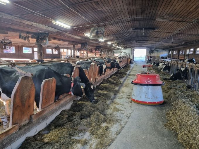 20251107_151159 (3).jpg © Johanna Mandl/LK Niederösterreich