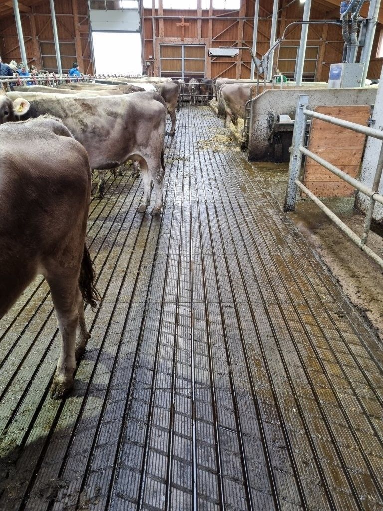 20251108_090007 (3).jpg © Johanna Mandl/LK Niederösterreich