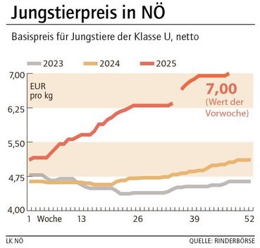 Grafik Stierpreis 48_2025.jpg © LK NÖ