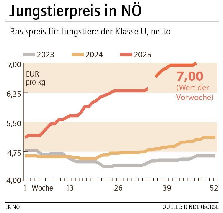 Grafik Stierpreis 48_2025.jpg © LK NÖ