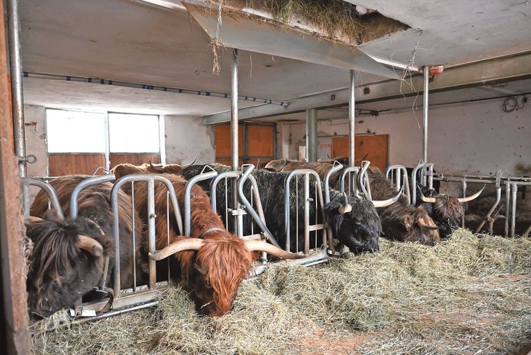 Schottischer Charme am Grabensee.jpg © Mooslechner