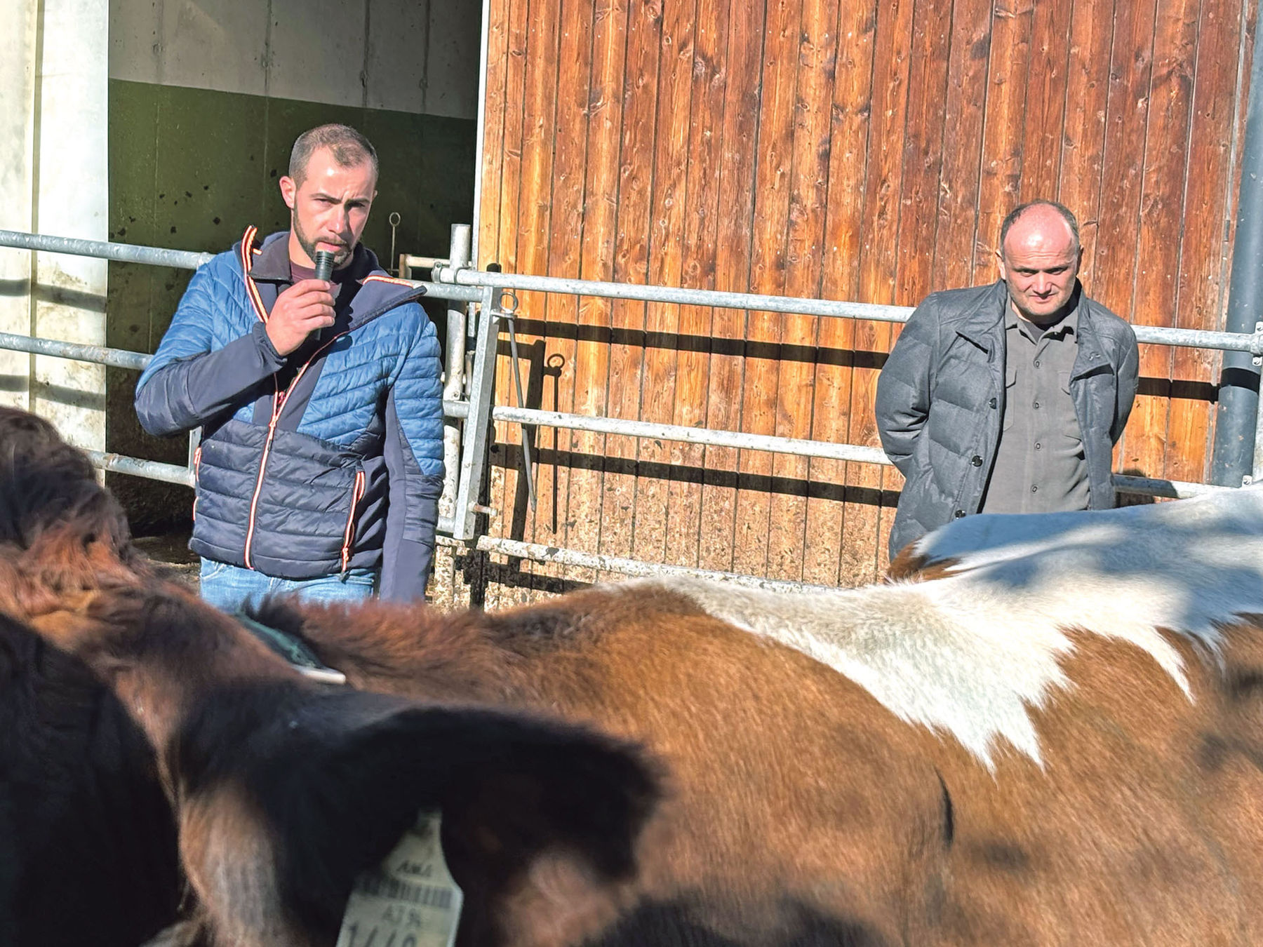 Die Kunst des Preisrichtens will gelernt sein.jpg © Kinberger/Neumayr