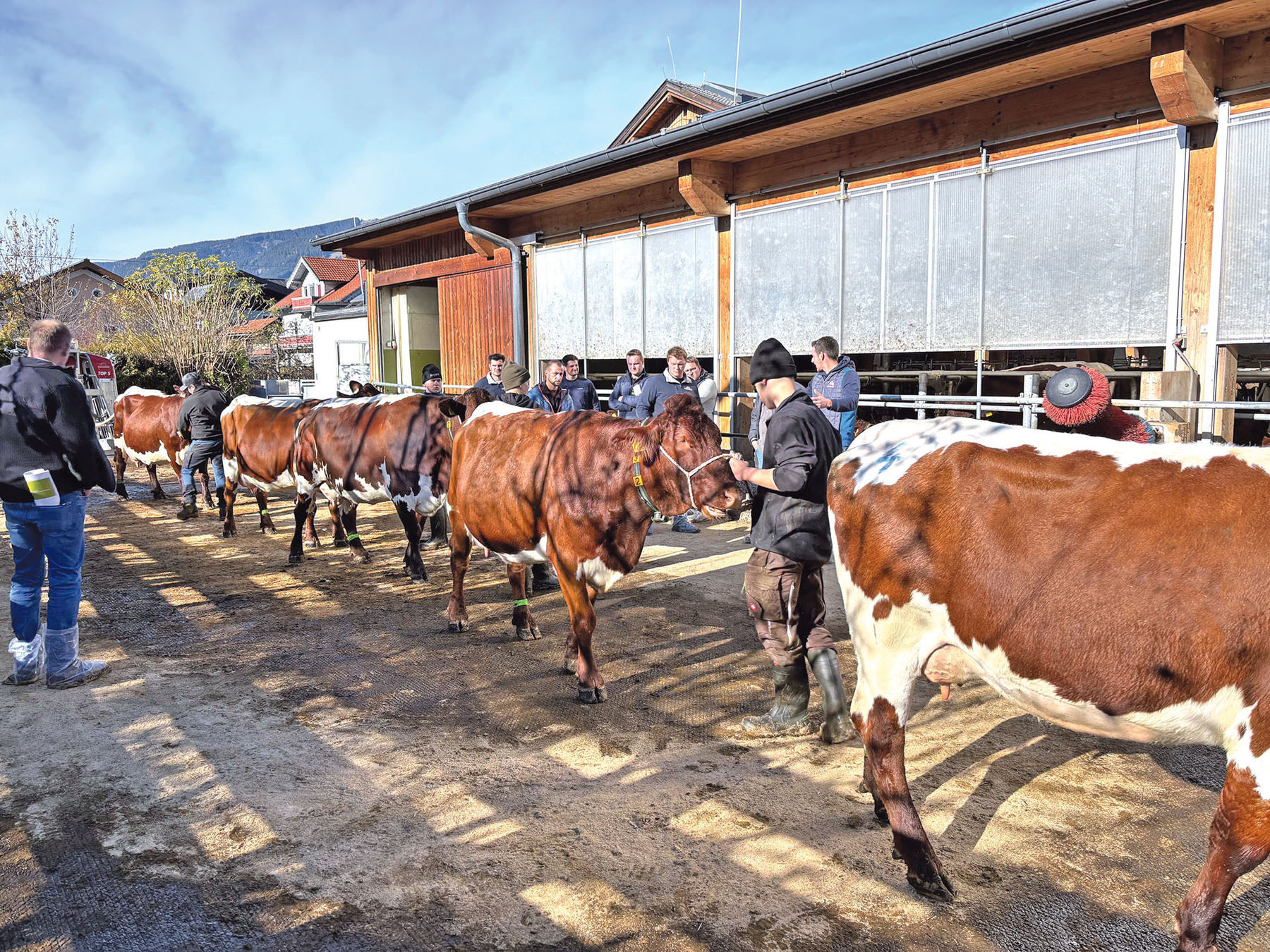 Die Kunst des Preisrichtens will gelernt sein.jpg © Kinberger/Neumayr