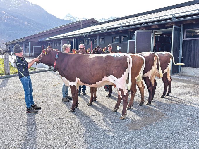 Die Kunst des Preisrichtens will gelernt sein.jpg © Kinberger/Neumayr