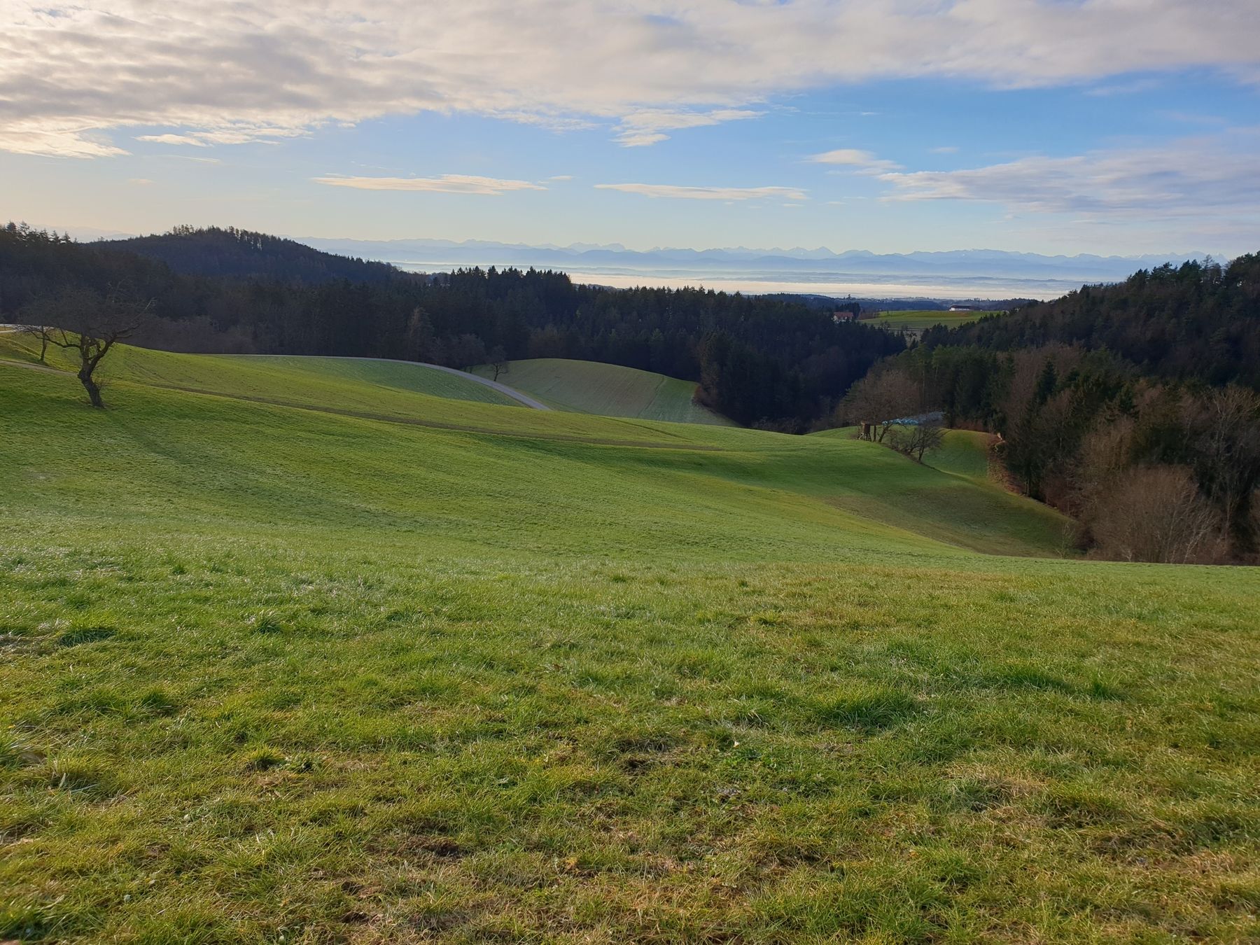 Landschaft OÖ.jpg © LK OÖ