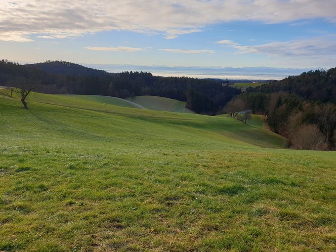 Landschaft OÖ.jpg © LK OÖ