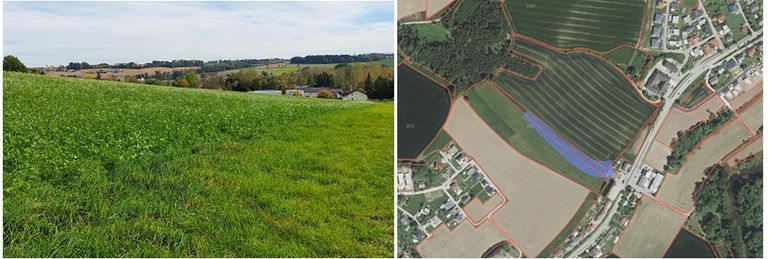 Begrünter Abflussweg_Zwischenfruchtmischung.jpg © BWSB/Wallner/Agraratlas