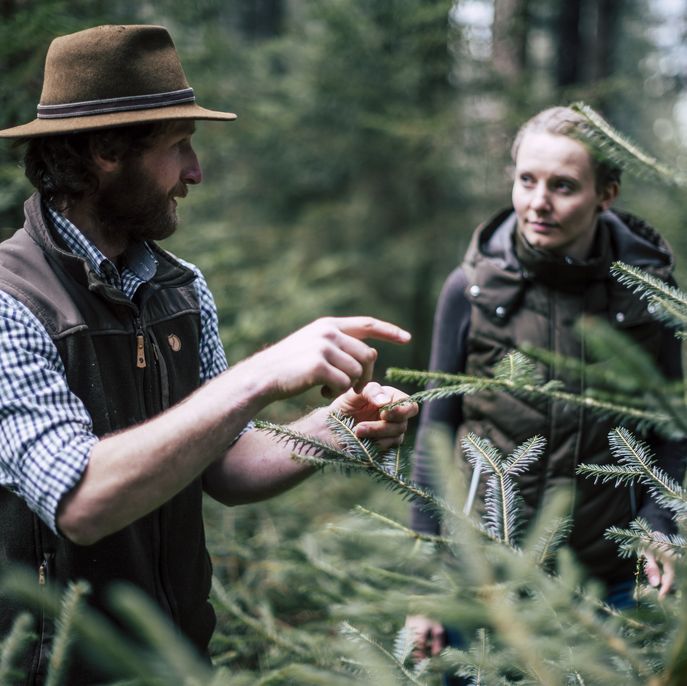 (c) bernhard bergmann-1163572(c)Bernhard Bergmann © Bernhard Bergmann