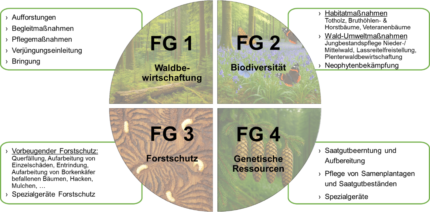 BU 1.png © Johannes Kircher