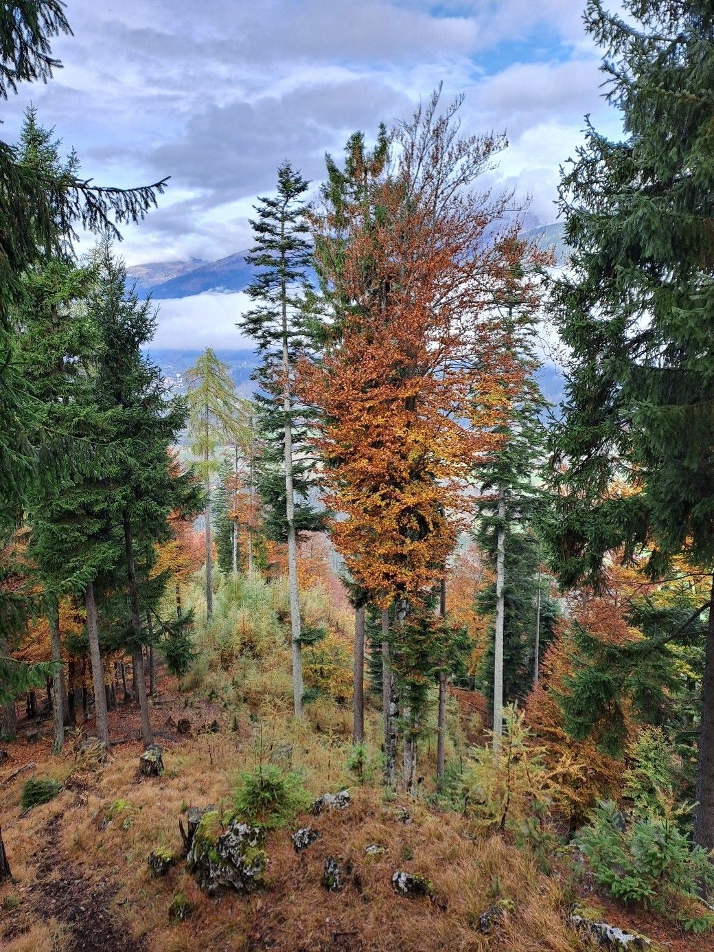 BU 3.jpg © Florian Strauß