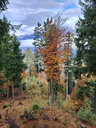 BU 3.jpg © Florian Strauß