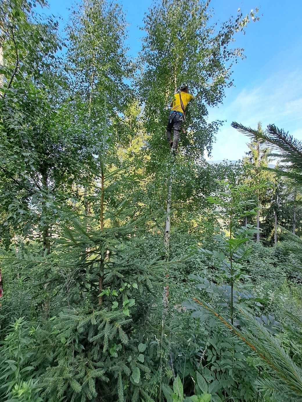 BU 4.jpg © Florian Strauß