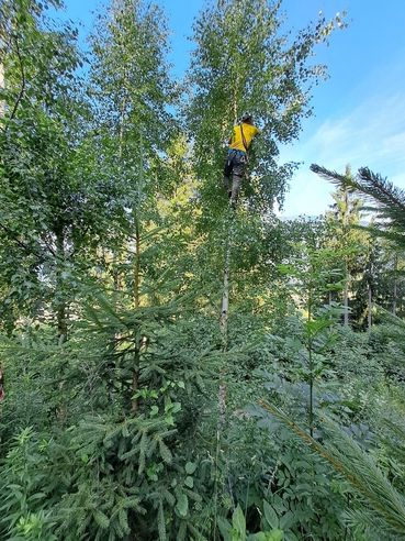 BU 4.jpg © Florian Strauß