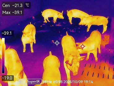 Wärmebild_Schlenker (002).jpg © Charlotte Schlenker, Farmvet