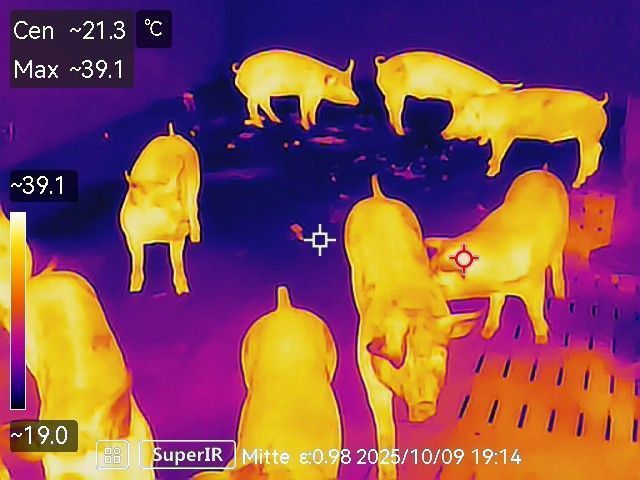 Wärmebild_Schlenker (002).jpg © Charlotte Schlenker, Farmvet