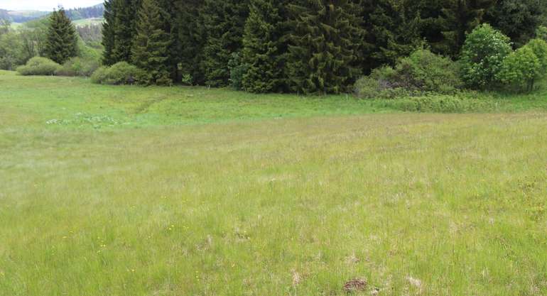 Lebensraumtypen.jpg © LK OÖ/Fritscher