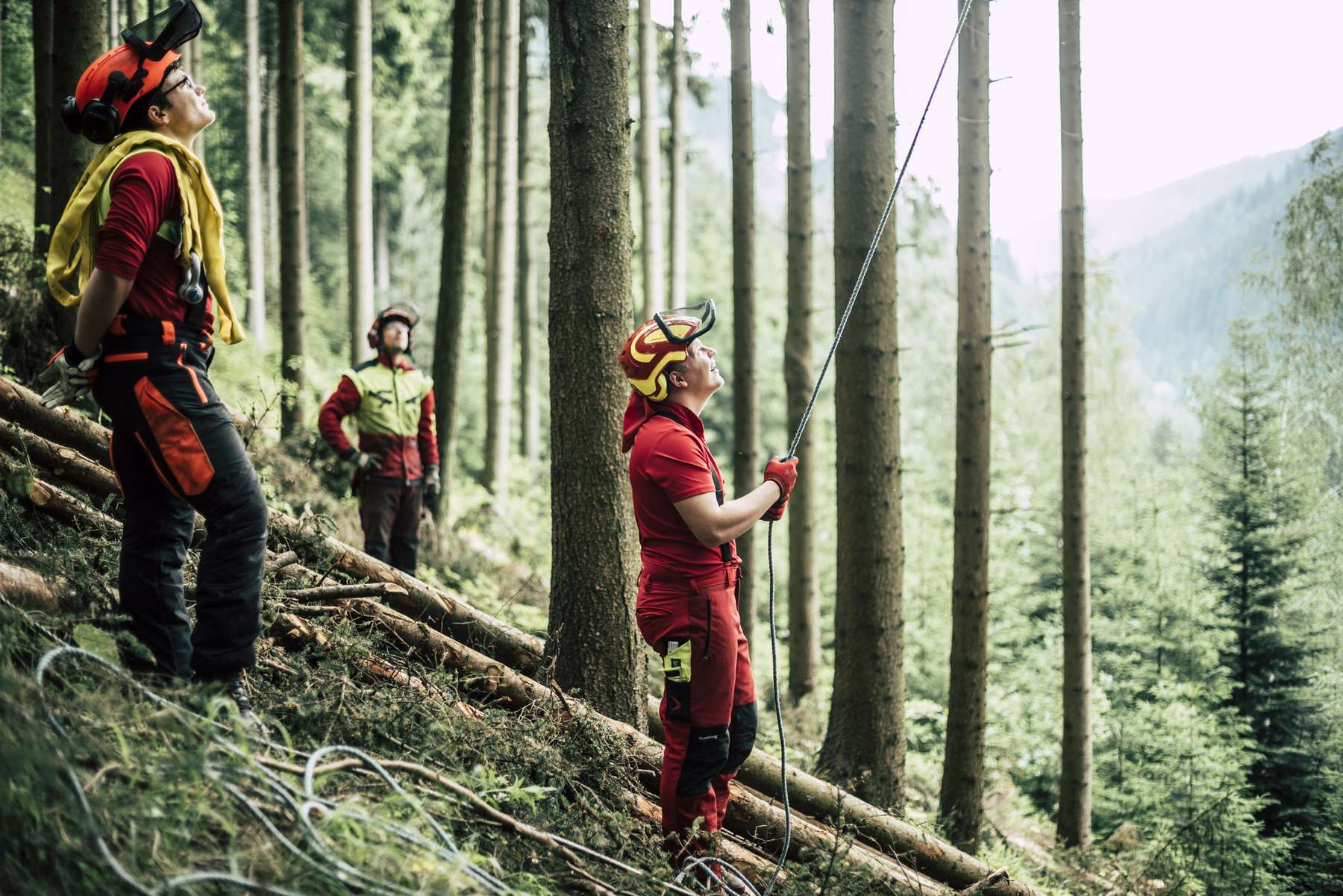 Forst.jpg © Bernhard Bergmann