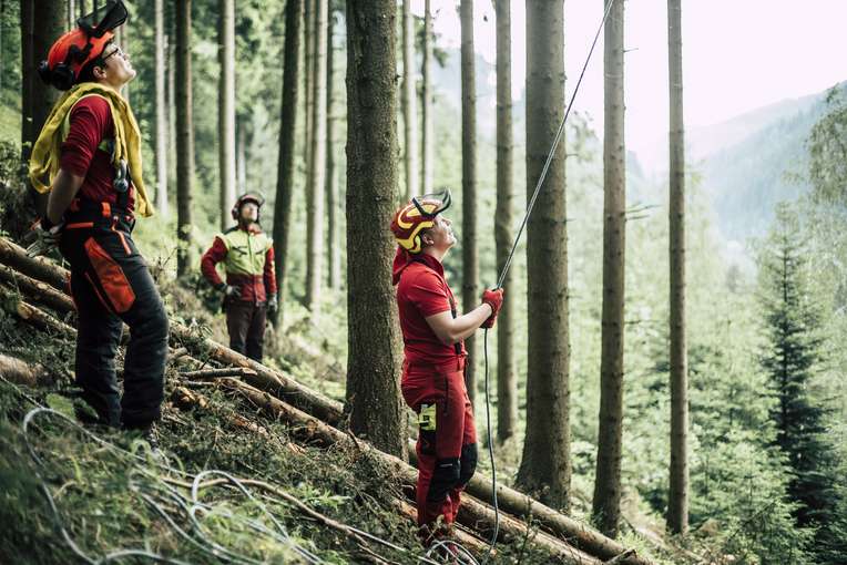 Forst.jpg © Bernhard Bergmann