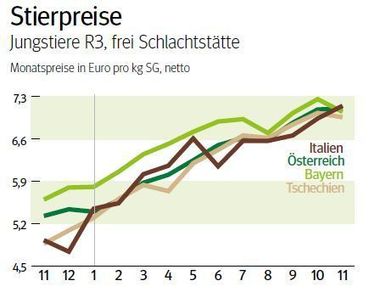 NÖ: Ausblick auf den Schlachtstiermarkt im Dezember 2025 © LK NÖ