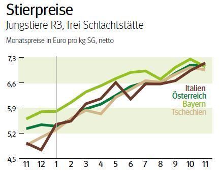 NÖ: Ausblick auf den Schlachtstiermarkt im Dezember 2025 © LK NÖ