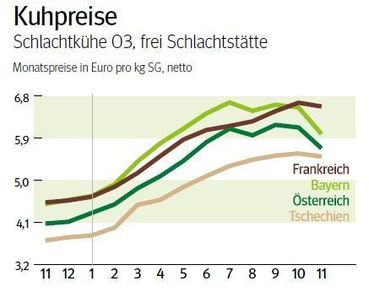 NÖ: Ausblick auf den Schlachtkuhmarkt im Dezember 2025 © LK NÖ