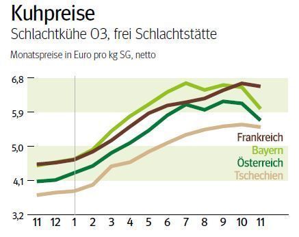NÖ: Ausblick auf den Schlachtkuhmarkt im Dezember 2025 © LK NÖ