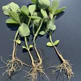 24. Juni 2025.jpg © BWSB/Gerstl