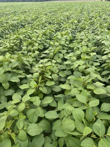 Bestand am 21. Juli 2025.jpg © BWSB/Gerstl