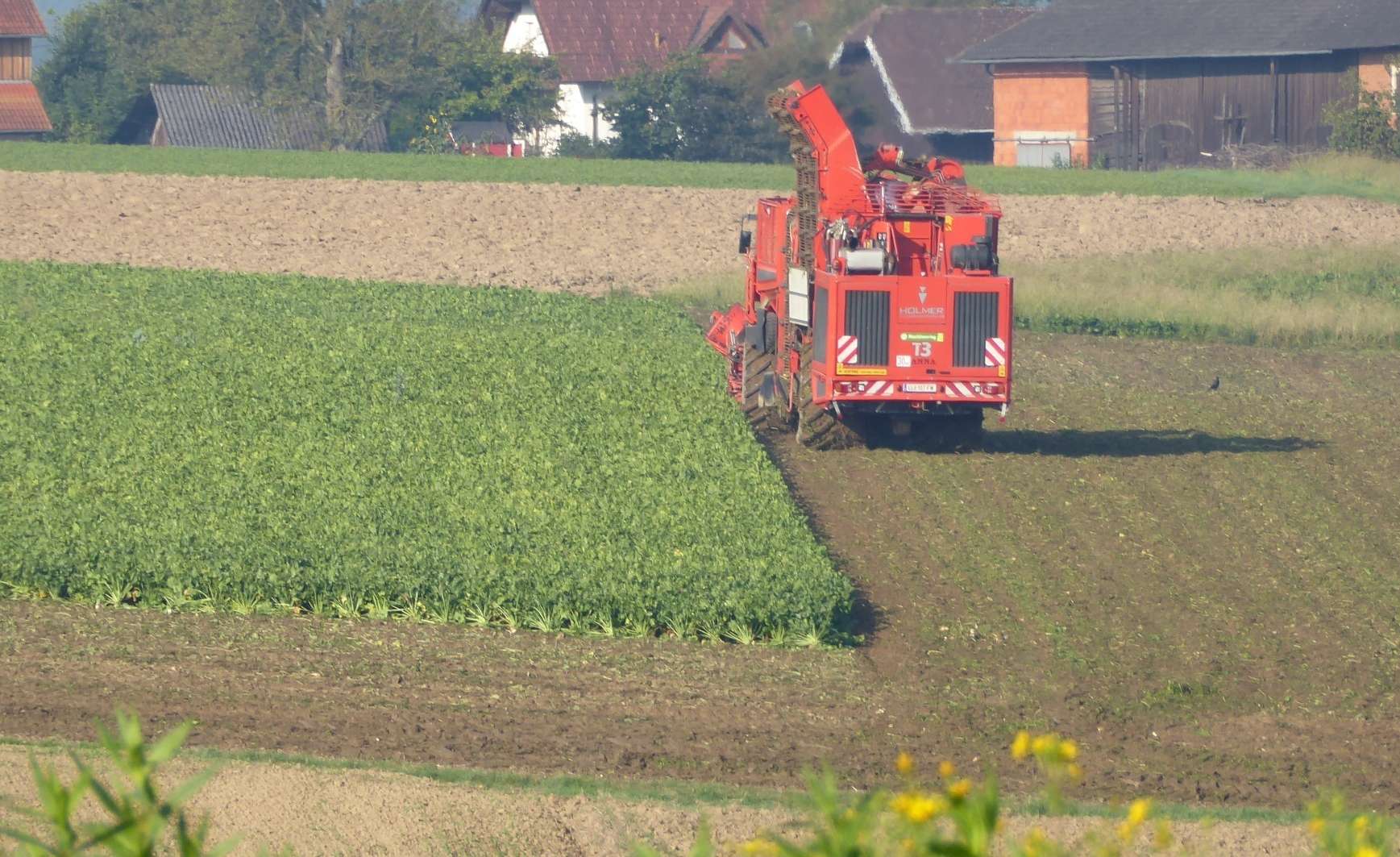 Ernte.jpg © BWSB/Wallner