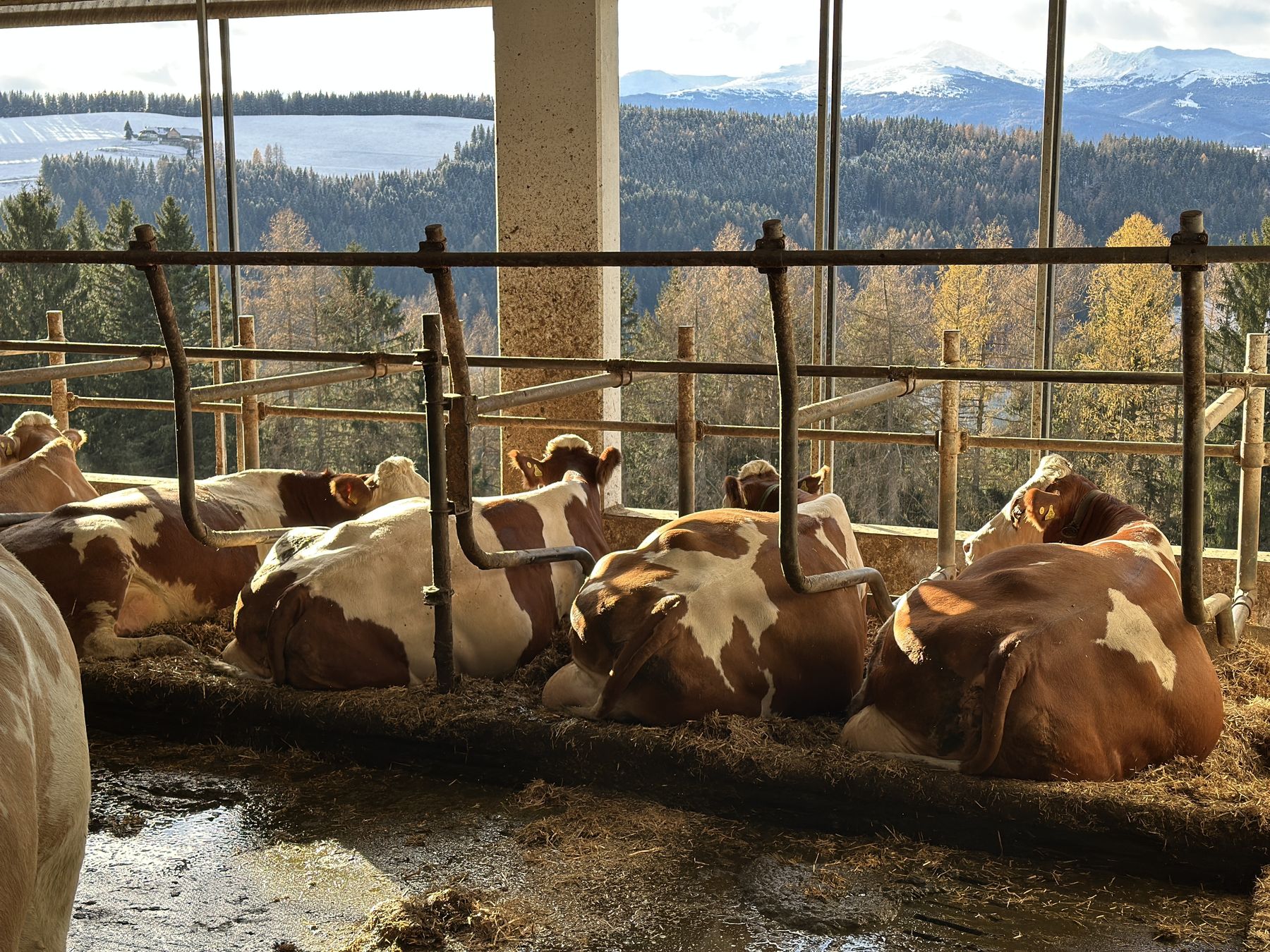 Standortdialog_Murtal (10).jpg