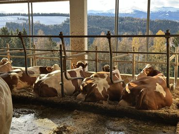 Standortdialog_Murtal (10).jpg © Archiv