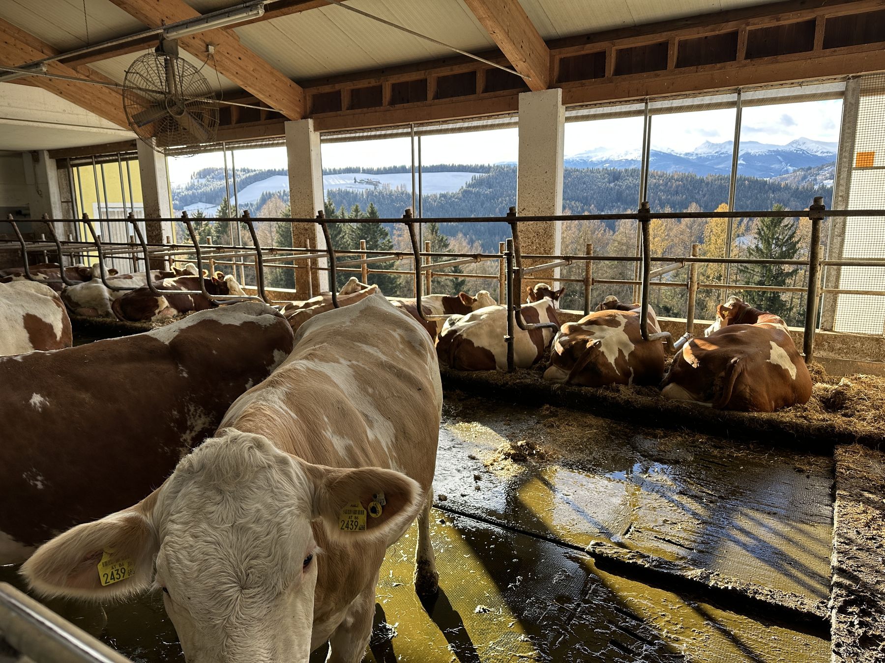 Standortdialog_Murtal (11).jpg