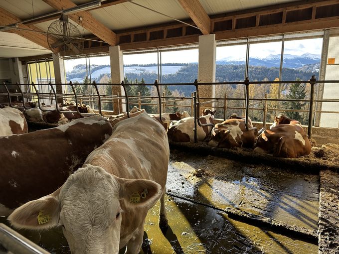 Standortdialog_Murtal (11).jpg © Archiv