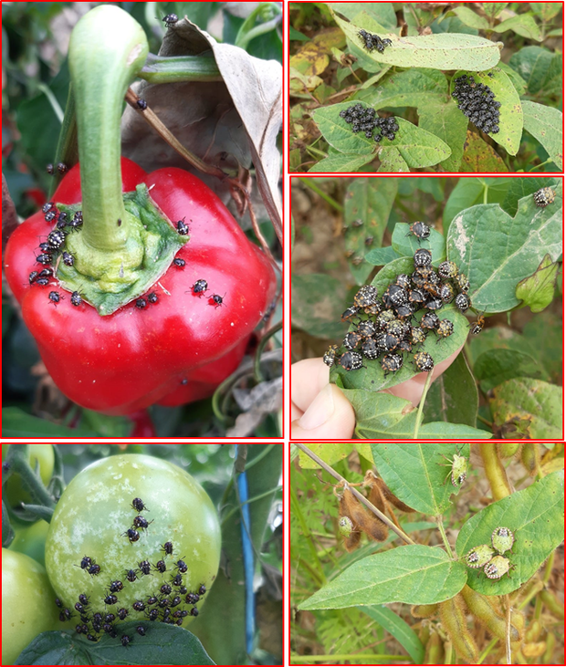 [1764327869833282_7.png]