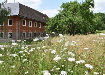 .jpg © Bienenzentrum OÖ