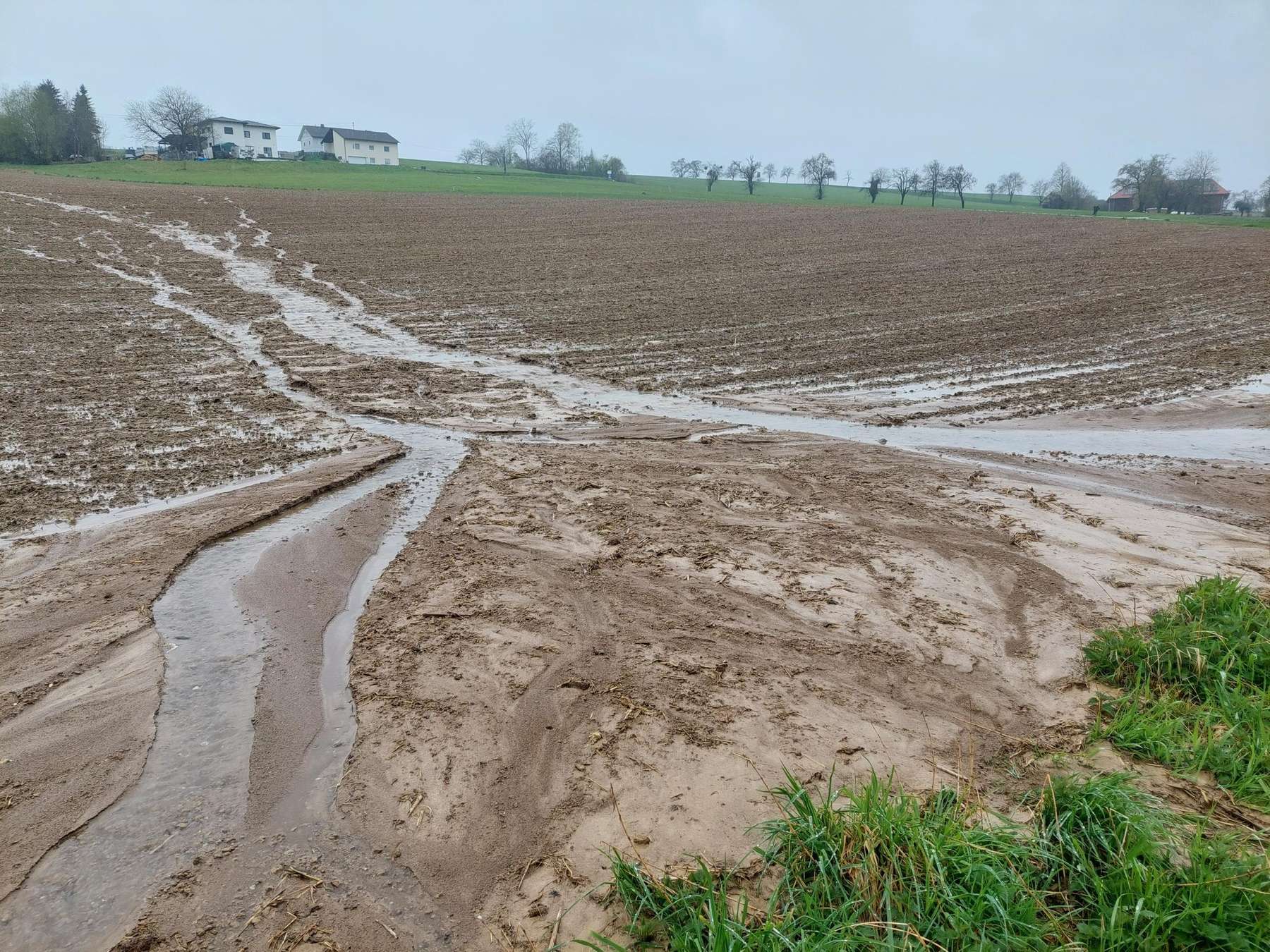 Bodenerosion.jpg © BWSB/Wallner