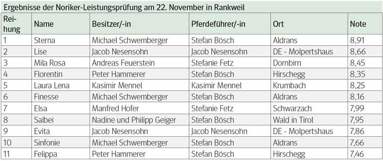 Ergebnisse Norikerstuten.jpg © Archiv