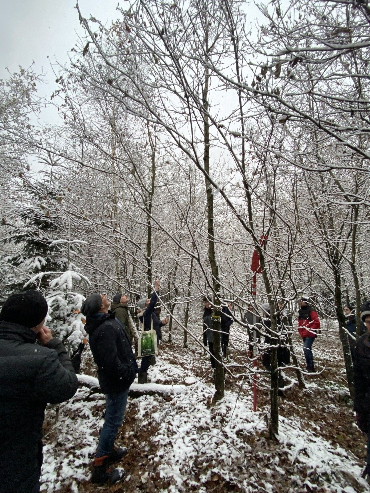 Fobi_Ausschuss_LK OÖ.jpg © LK OÖ