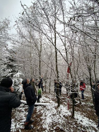 Fobi_Ausschuss_LK OÖ.jpg © LK OÖ